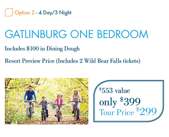 Gatlinburg One Bedroom